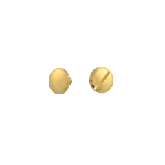 Chicago Screw Brass 6x12mm (Rounded)